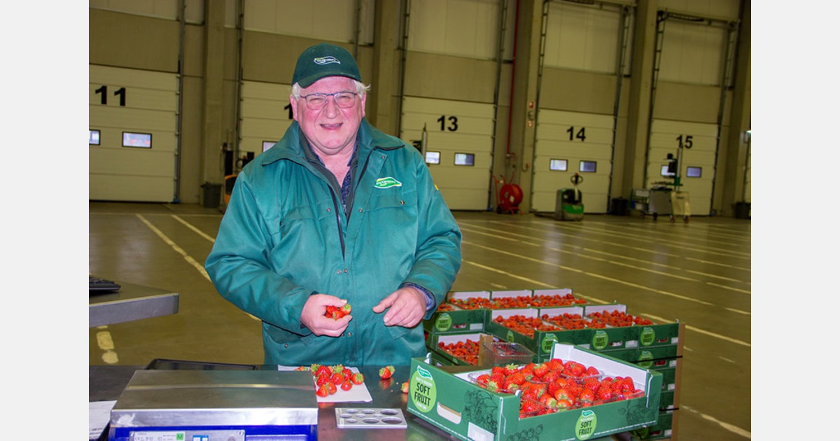 Pieter Dam har jobbet for The Greenery i 50 år