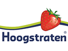 hoogstraten