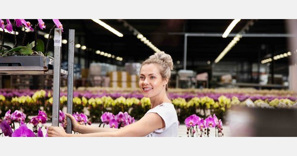 Tekst nieuwe Cao Glastuinbouw nu beschikbaar﻿