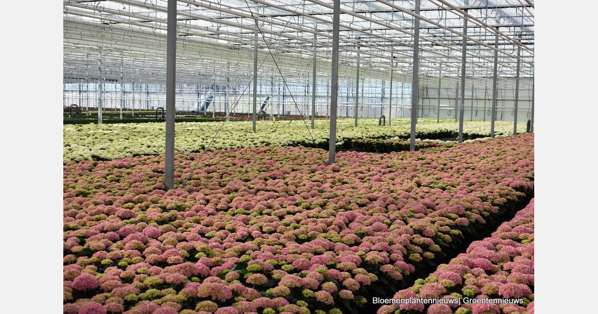 Deelnemers Kom in de Kas Bommelerwaard bekend