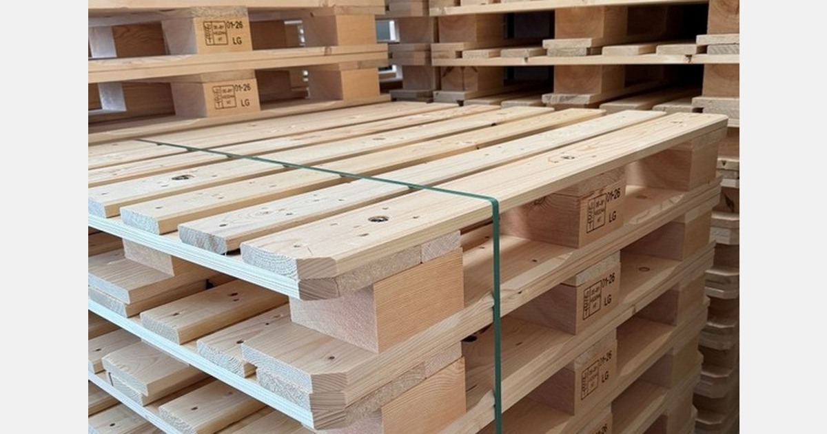EU stelt houten pallets vrij van PPWR-vereisten voor hergebruik