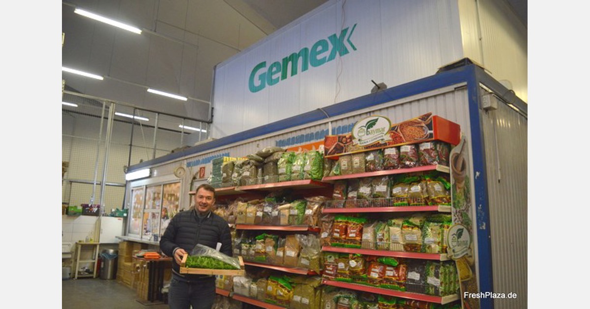 Gemex Handels verkauft viel niederländisches Gemüse in Berlin