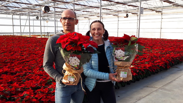 In casa Simonato, anche la tradizionale Stella di Natale e' biologica