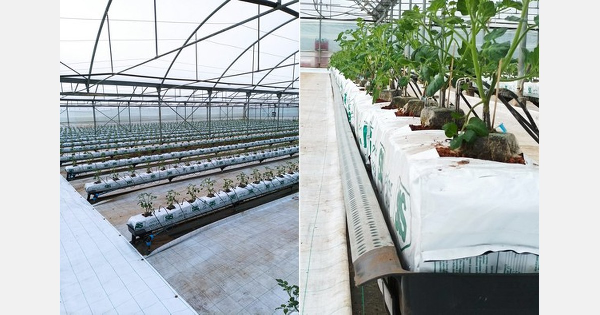 Nuova grondaia in plastica per la coltivazione fuori terra