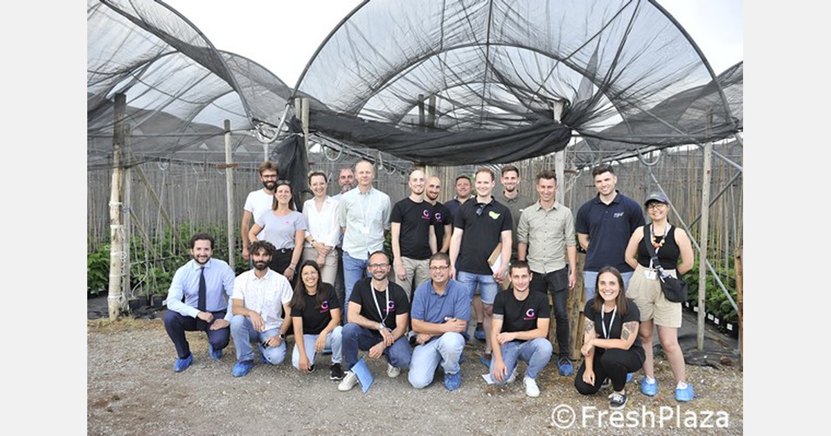 Un nuovo approccio all’allevamento del lampone in Italia, partecipano gli olandesi