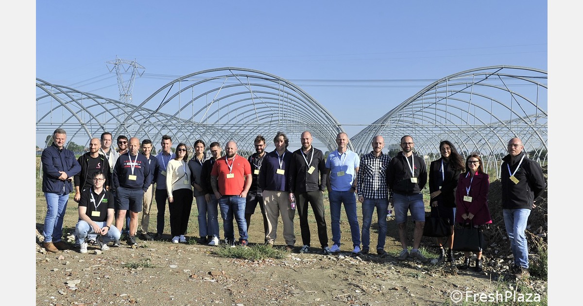 Raccolta di informazioni sui piccoli frutti in Italia