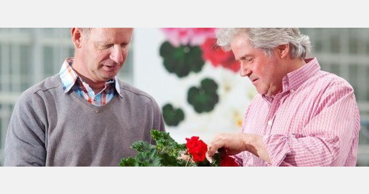 Nieuwe collega’s coachen op de werkvloer: hoe doe je dat?