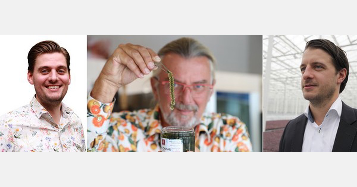 &laquo;Vi viste frem ballene med introduksjonen av brønnkarse og havdruer akkurat rundt denne tiden&raquo;