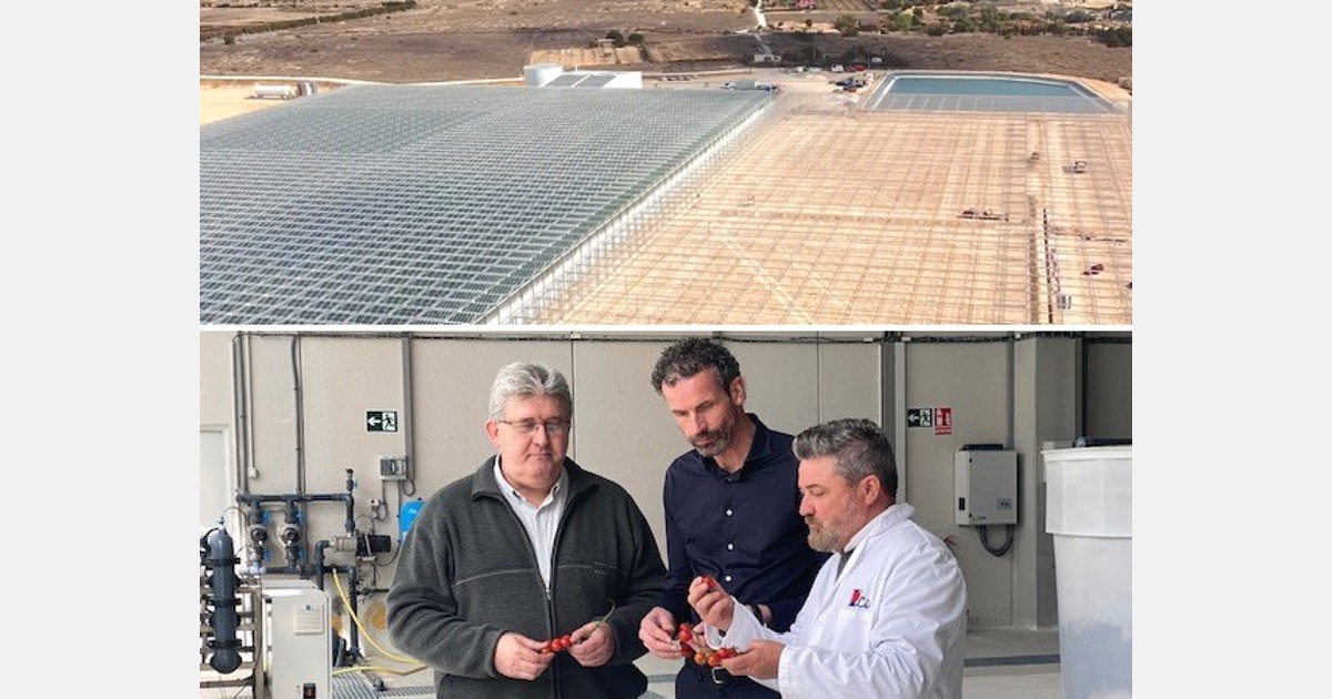 Un productor de tomate español da un paso hacia el futuro con un invernadero de cristal de alta tecnología