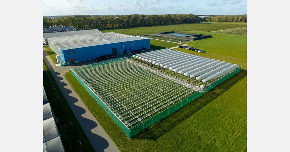 Aanmelding Delphy ISFC Field Event 2023 open