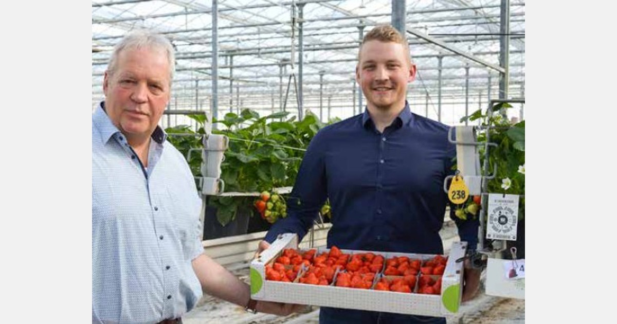 "Prijzen Duitse aardbeien zijn dichter bij Nederland en België komen te