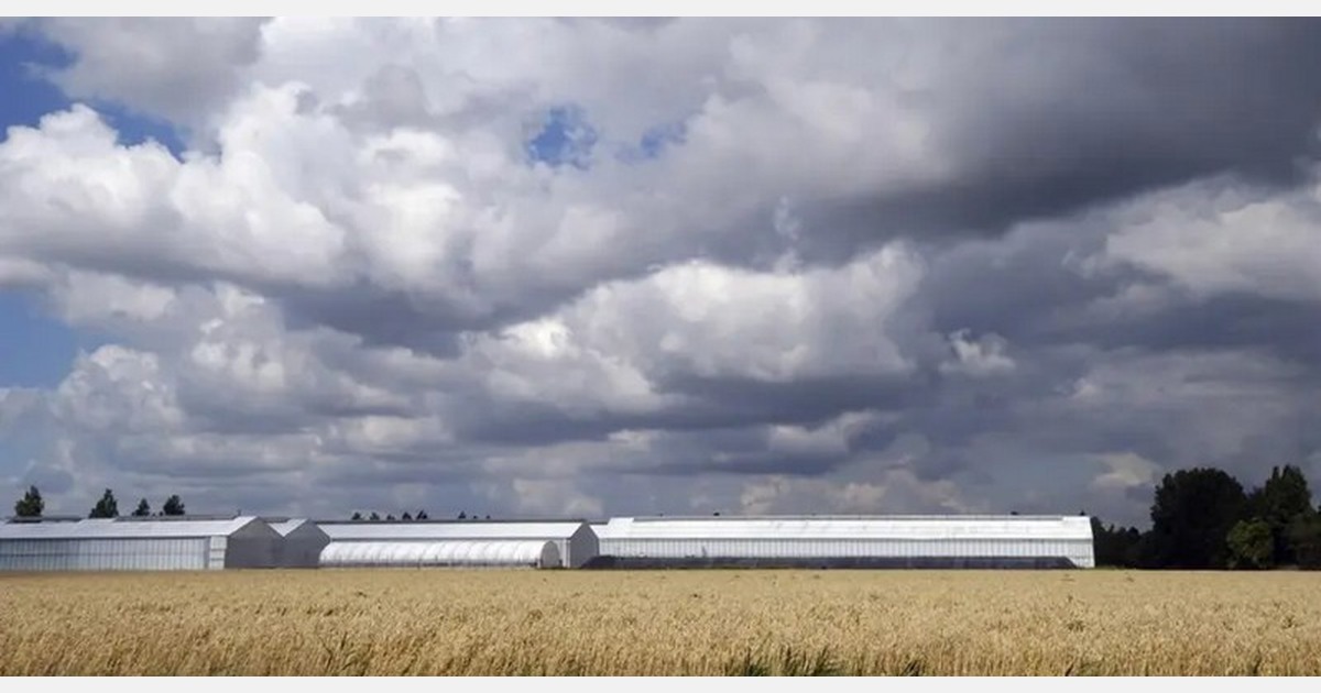 Verplaatsing glastuinbouwbedrijf naar Rijsenhout maakt ruimte voor woningbouw