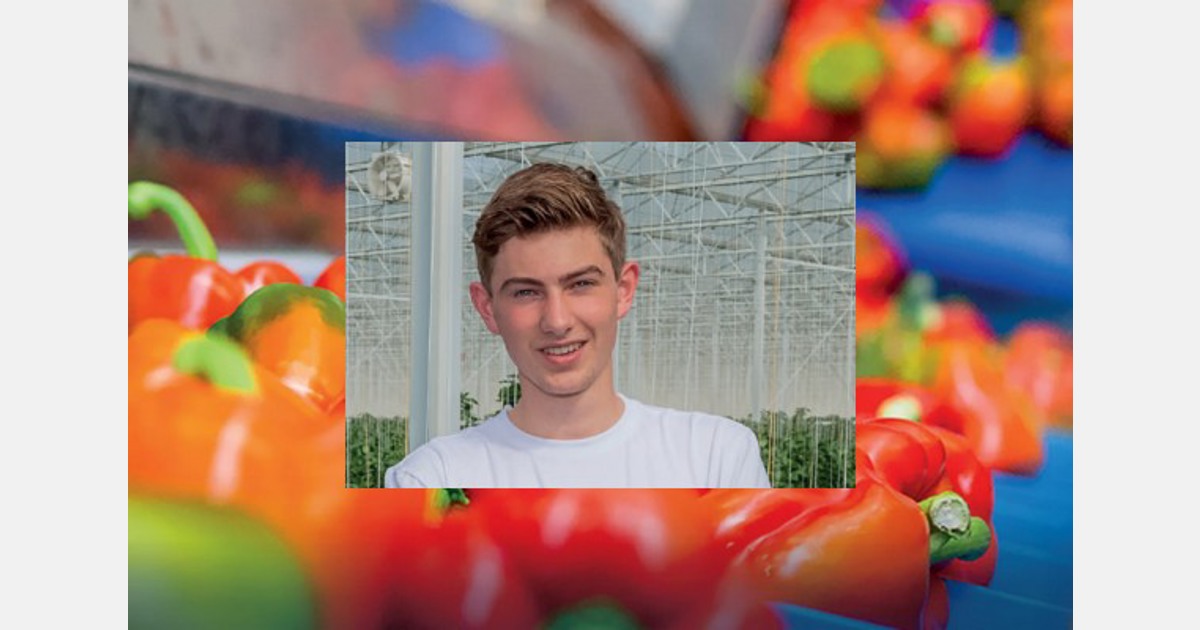 Schaalvergroting helpt Hoogweg stappen zetten op gebied energie en verpakken