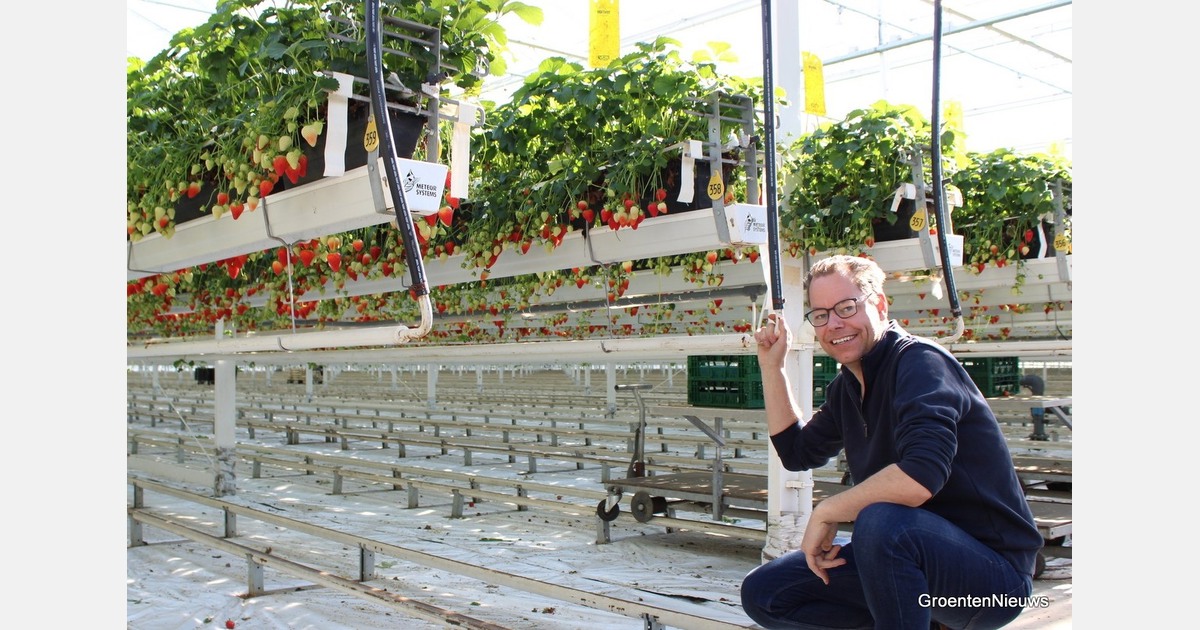 Royal Berry neemt 18 hectare kas over van Wijnen Square Crops