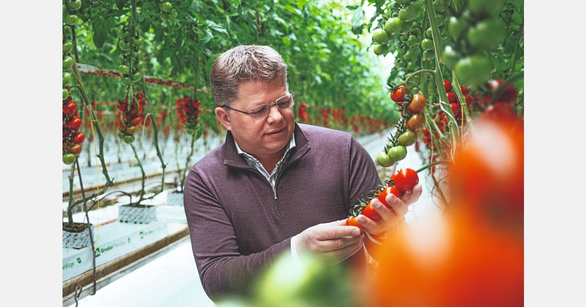 “De groei van onze tomatenteelt moet altijd op 1 blijven staan”