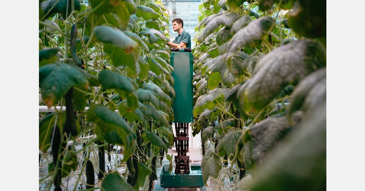 Nieuwe schaarwagen uit Wateringen de markt op