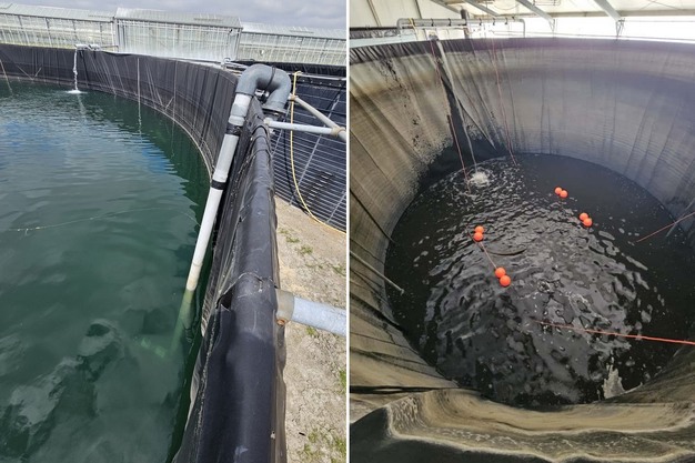 Artikel in Groentennieuws en Hortidaily - Schoon water na de ontsmetting? Reken er niet op!