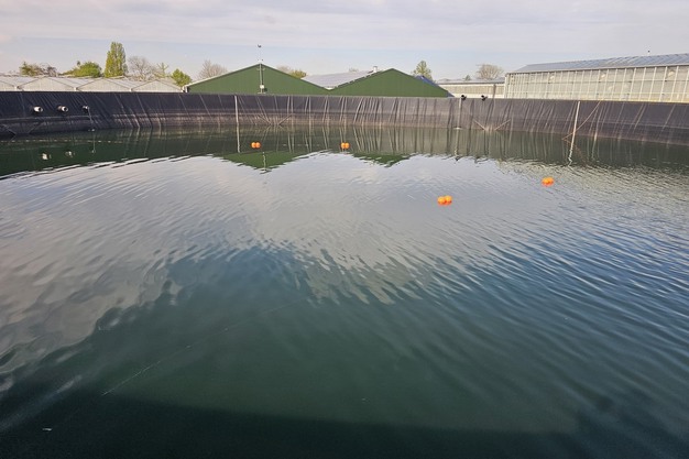 Artikel in Groentennieuws en Hortidaily - Schoon water na de ontsmetting? Reken er niet op!