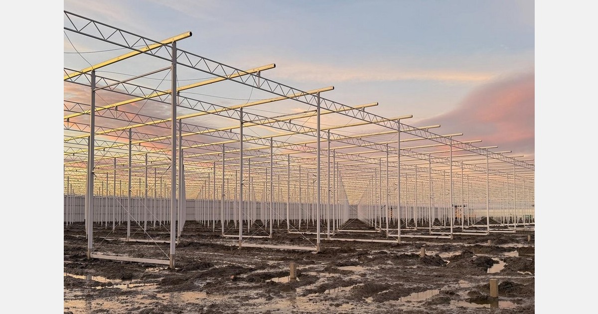 Herbouw ingestorte kas van Agro Care Middenmeer in volle gang