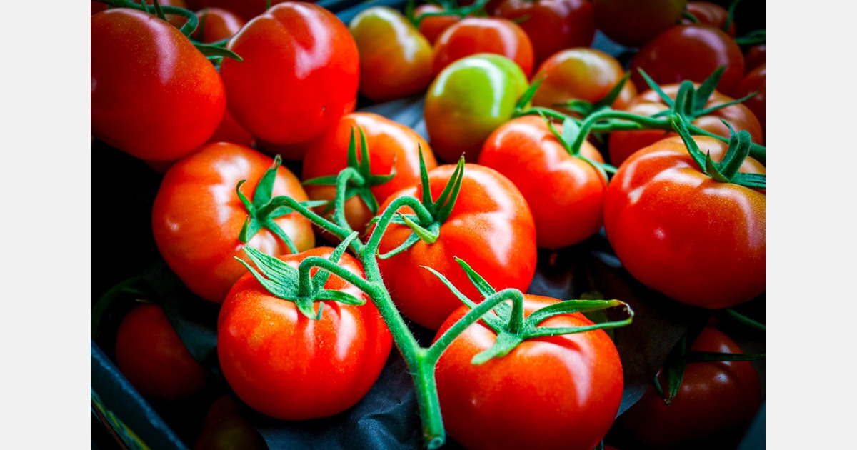 Historische veilingklok keert terug naar Poeldijk
