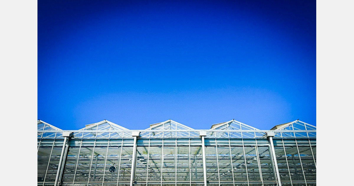 Agrarische sector vreest energieontwikkelingen PowerPort Moerdijk