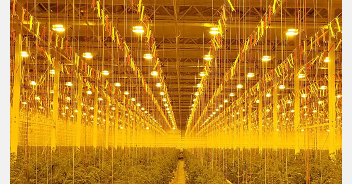 Net en LEDuitdagingen in Ontario