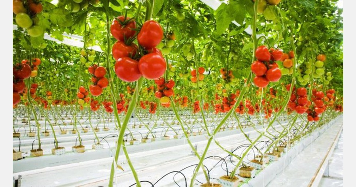 Norsk LED-forskning og miljøfotavtrykk for å konkurrere med import