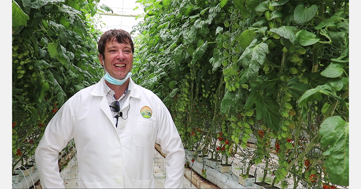 Høyere lysgjennomgang og lavere varmebehov i foliedrivhus med dobbel folie