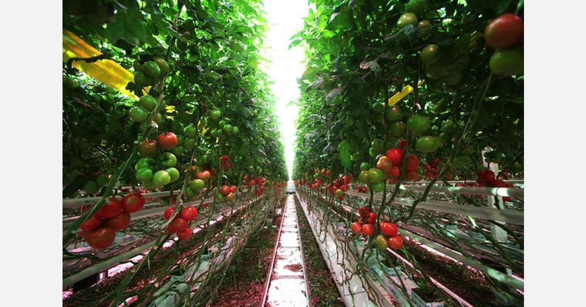 AgriForce investeert in Radical Clean Solutions