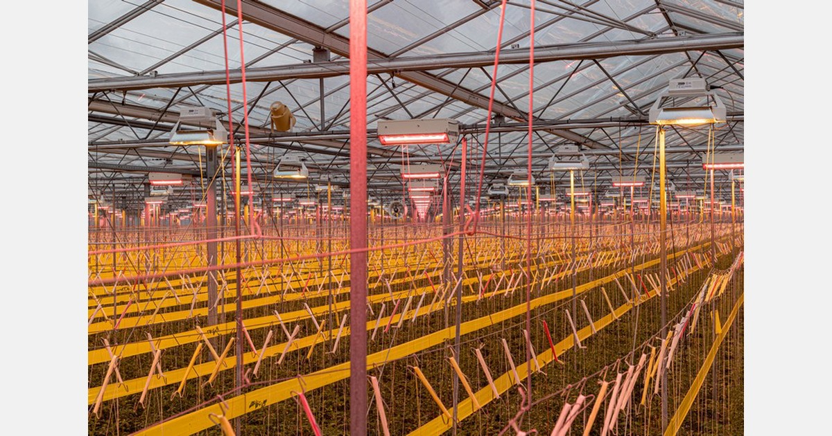 Fullført montering av 27 ha LED i Lans