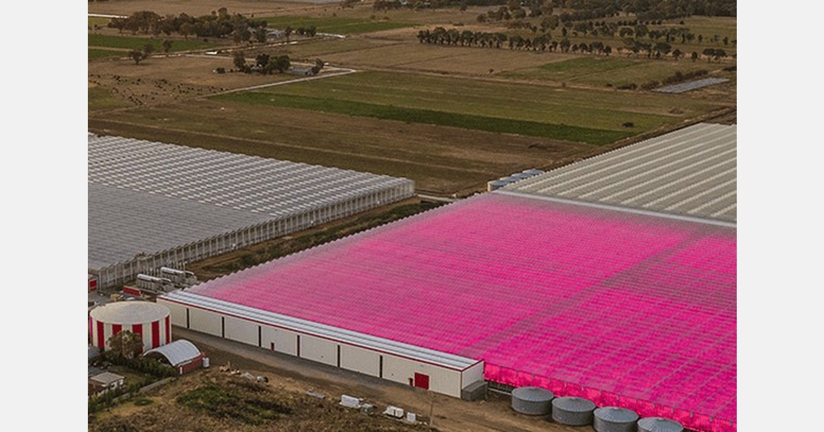 The Australian Horticulture Fund continues to grow through new acquisitions The Australian Horticulture Fund continues to grow through new acquisitions