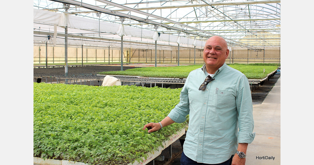 “In onze opkweek hoeven we ons geen zorgen meer te maken over Tuta in tomaat”