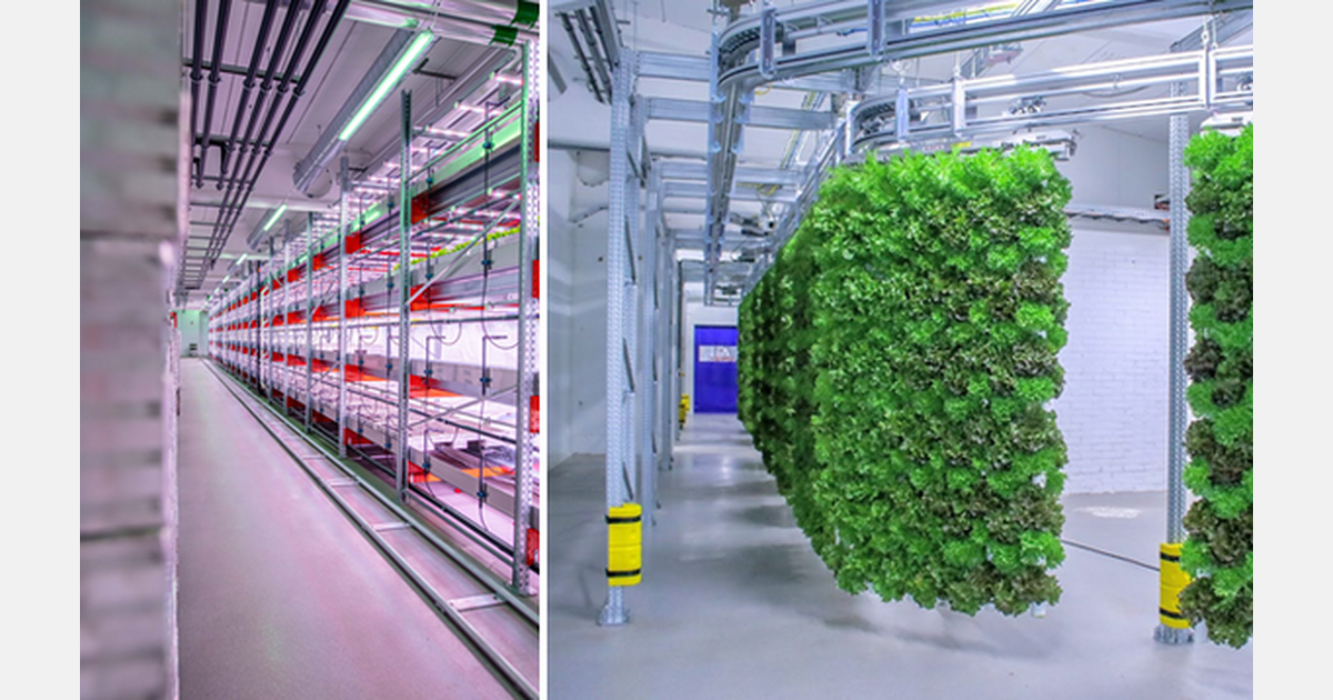 Hva du bør huske på når du endrer størrelsen på den vertikale gården