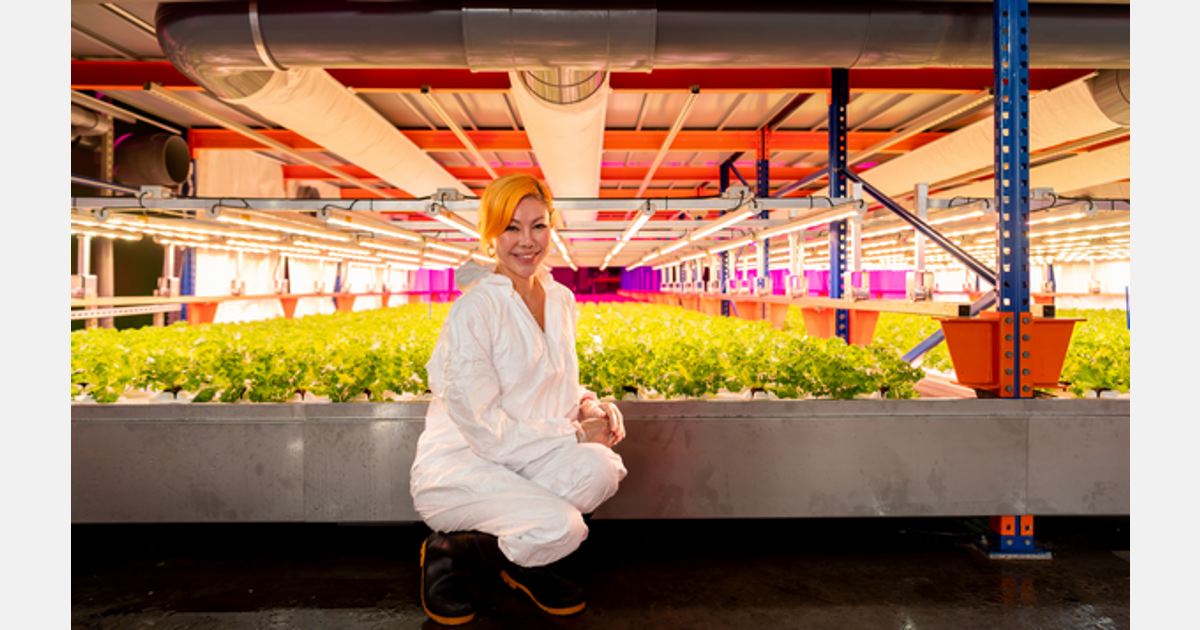“Pertanian dalam ruangan di Singapura membutuhkan studi kelayakan yang kuat”