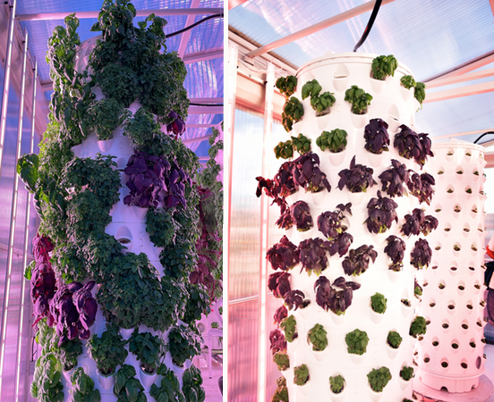 Portugal: Festive opening of hybrid concept farm in Lisbon