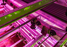 De faciliteit bevat een Logiqs-systeem dat eerder werd gebruikt op de Floriade in Almere.