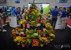 Een fleurige creatie vol bloemen en groenten bij Plant Products