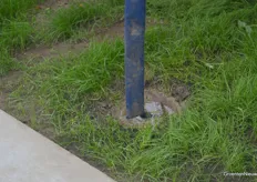 Het drainwater wordt opvangen langs het betonpad. In deze kas het laagste punt, omdat hier voorheen op het perceel een sloot lag.